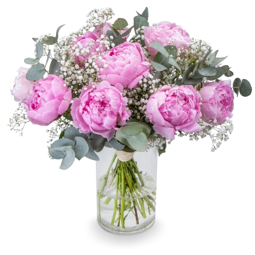 Bouquet of peonies